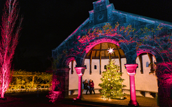 Rosenlaube im Botanischen Garten von Berlin-Dahlem zur Weihnachtszeit, Deutschland