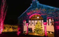 Rosenlaube im Botanischen Garten von Berlin-Dahlem zur Weihnachtszeit, Deutschland