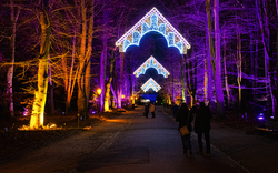 Christmas Garden im Botanischen Garten Berlin