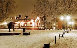 Fischmarkt in Speyer