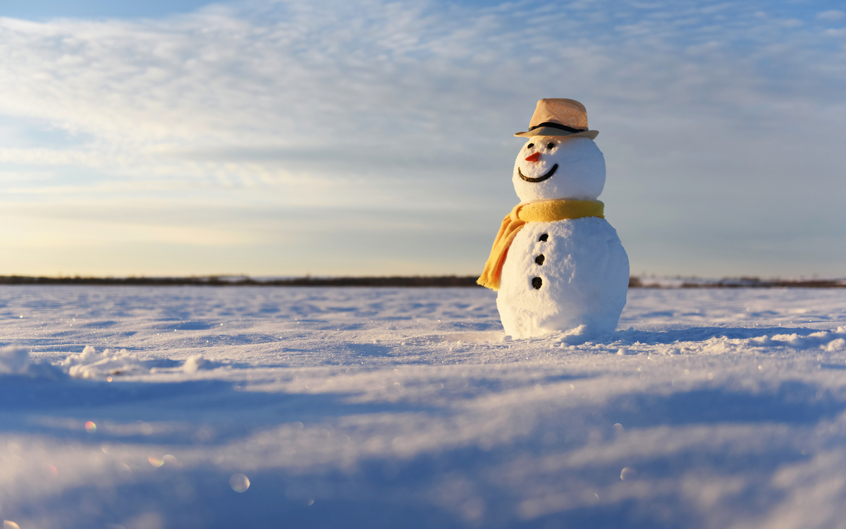 lustiger Schneemann