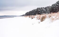 Strand im Winter