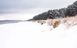 Strand im Winter
