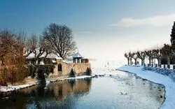 Winter am Bodensee