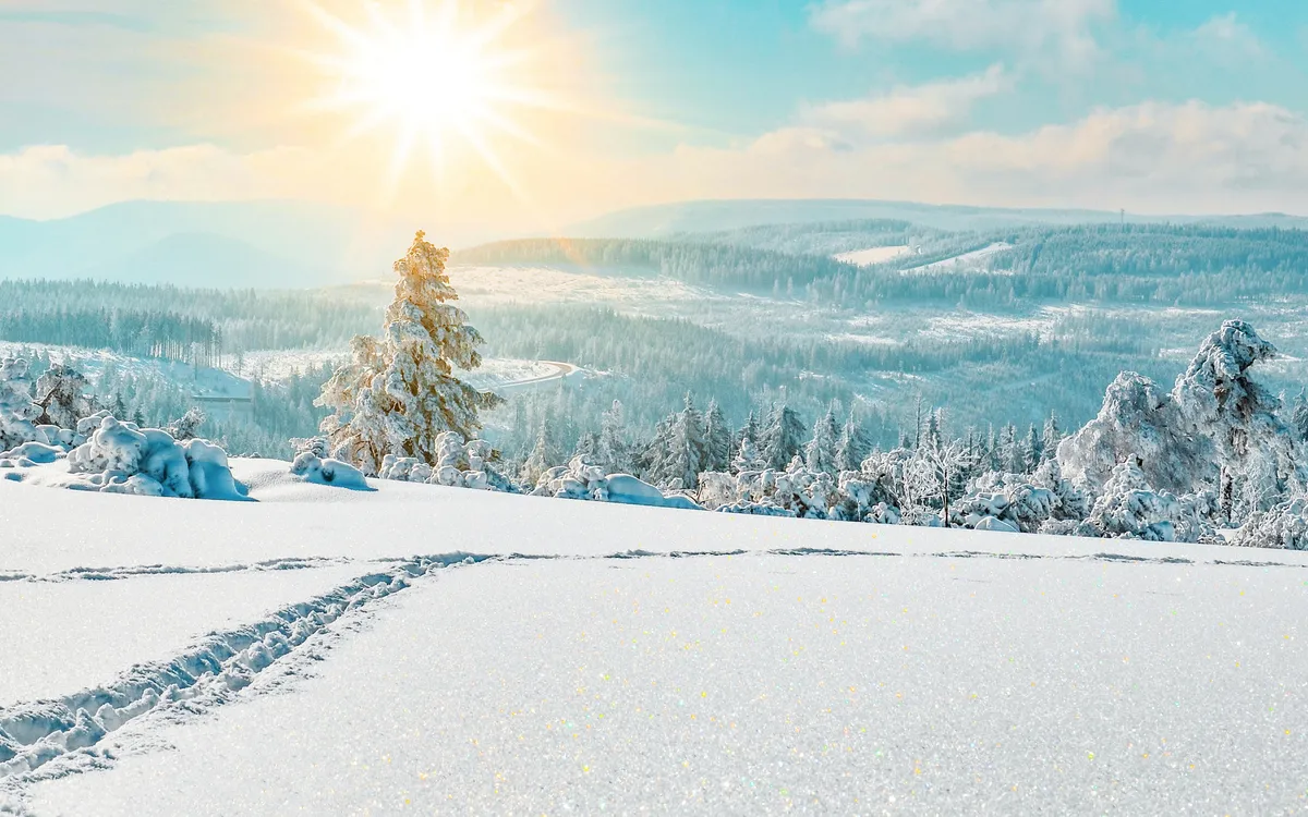 winterlicher Schwarzwald, Deutschland
