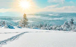 winterlicher Schwarzwald, Deutschland
