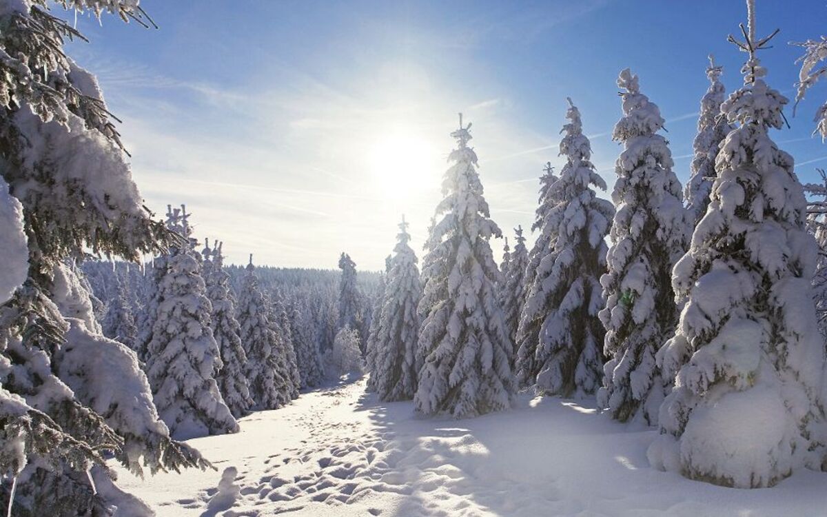 Winterlandschaft