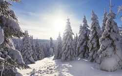 Winterlandschaft