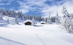 Winterlandschaft