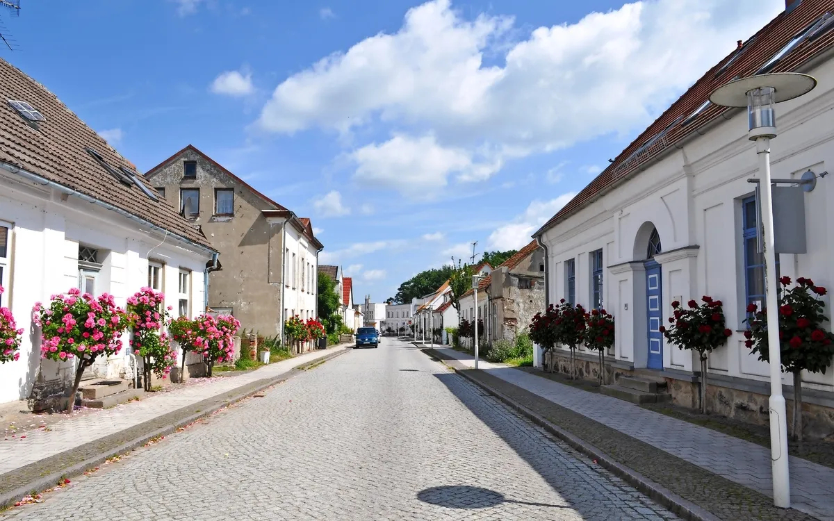 Straße mit Rosenbäumchen, Rosenstadt Putbus, Stadtansicht
