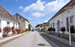 Straße mit Rosenbäumchen, Rosenstadt Putbus, Stadtansicht