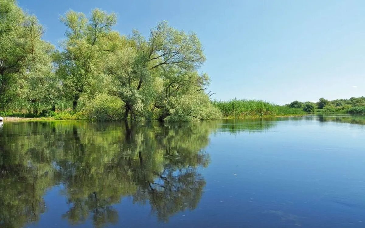 Donaudelta
