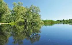 Donaudelta