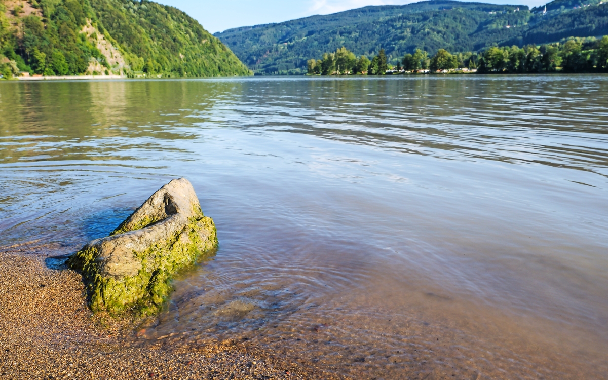 Ufer an der Donau