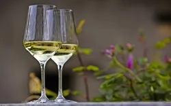 Wachau: das berühmteste Weinbaugebiet Österreichs