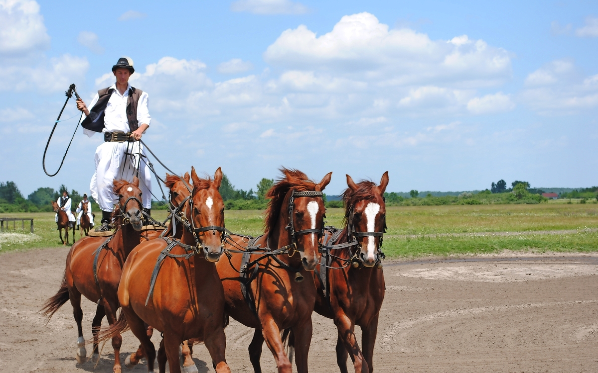 Reiter in der Puszta
