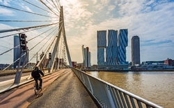 Rotterdam