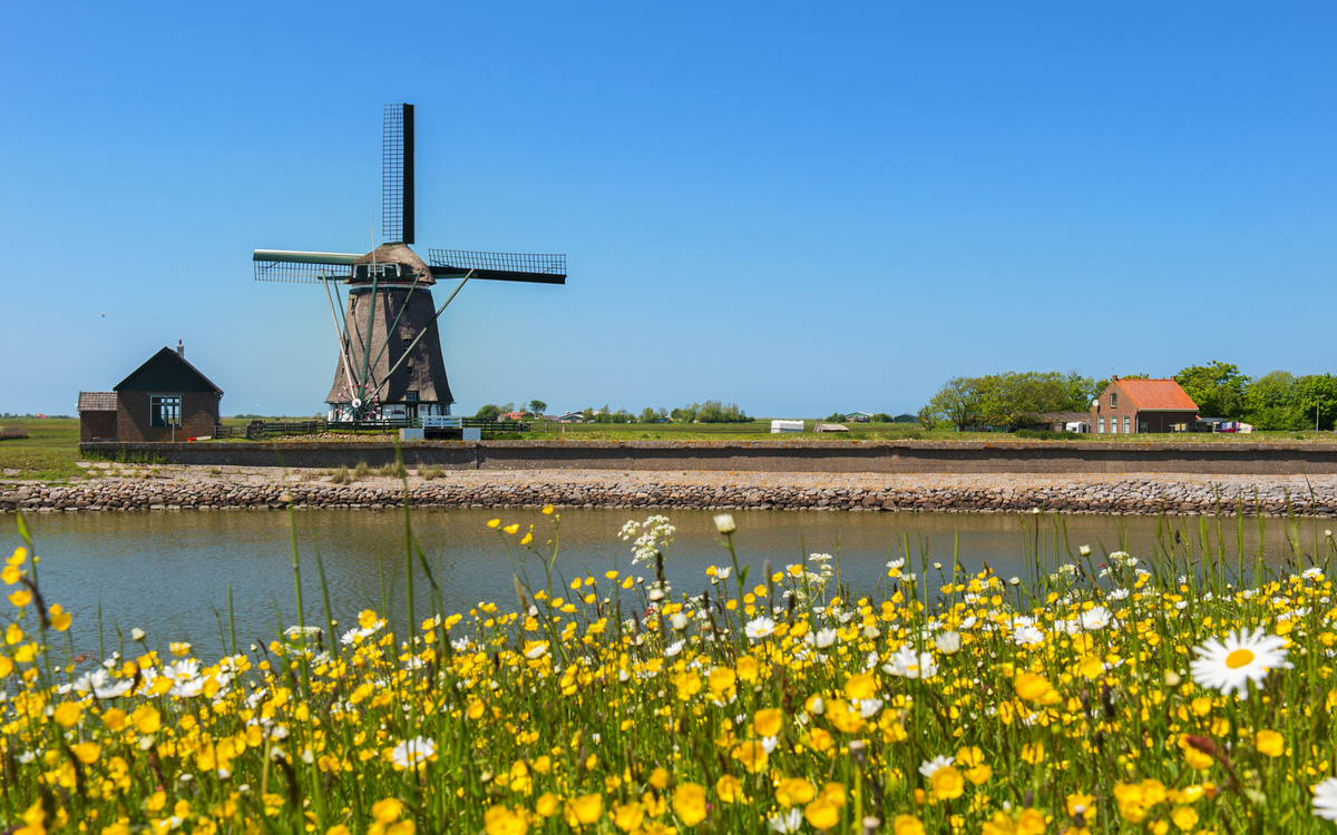 Windmühle auf der niederländischen Insel Texel