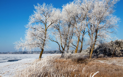 Wintermärchen an der Ostsee Insel Rügen
