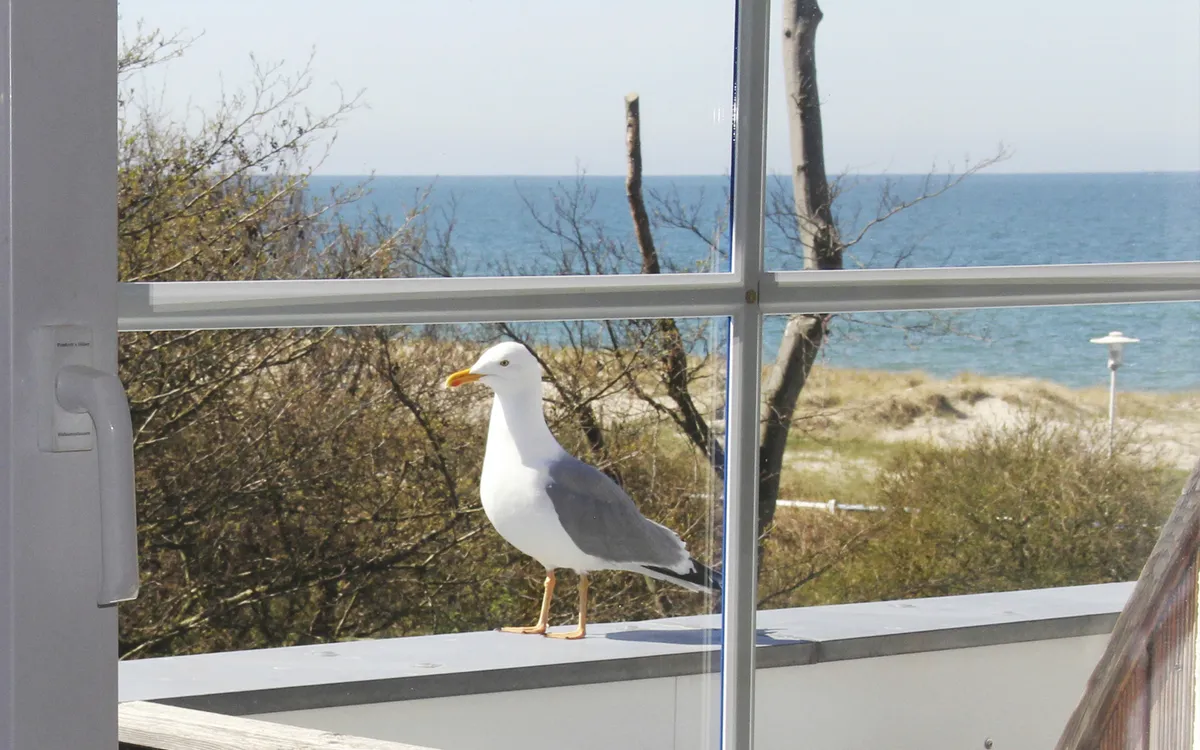 Hotel Ostseewoge Ausblick