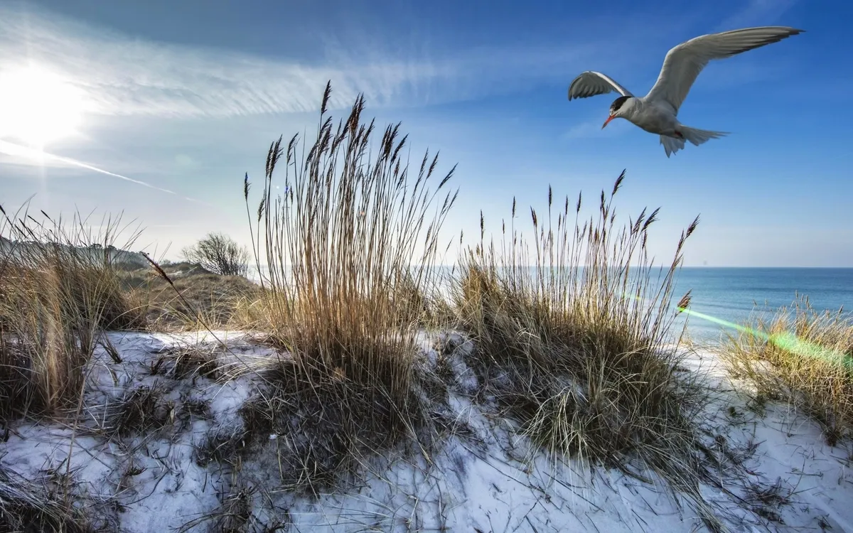 Ostsee