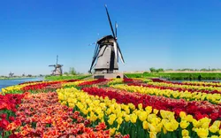 Kinderdijk in Südholland, Niederlande