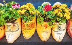 Holzschuhe mit Blumen