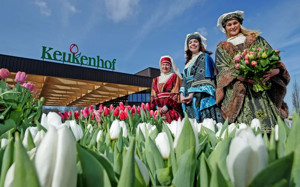 Keukenhof in den Niederlanden