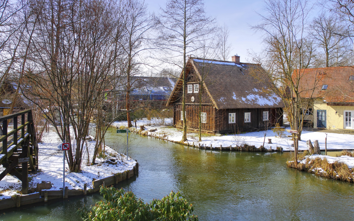 Spreewald im Winter