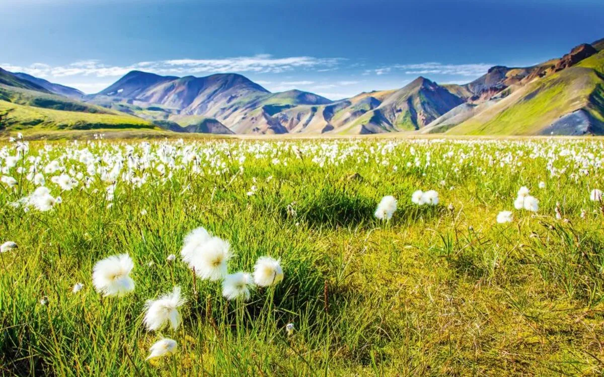 Landmannalaugar, Island