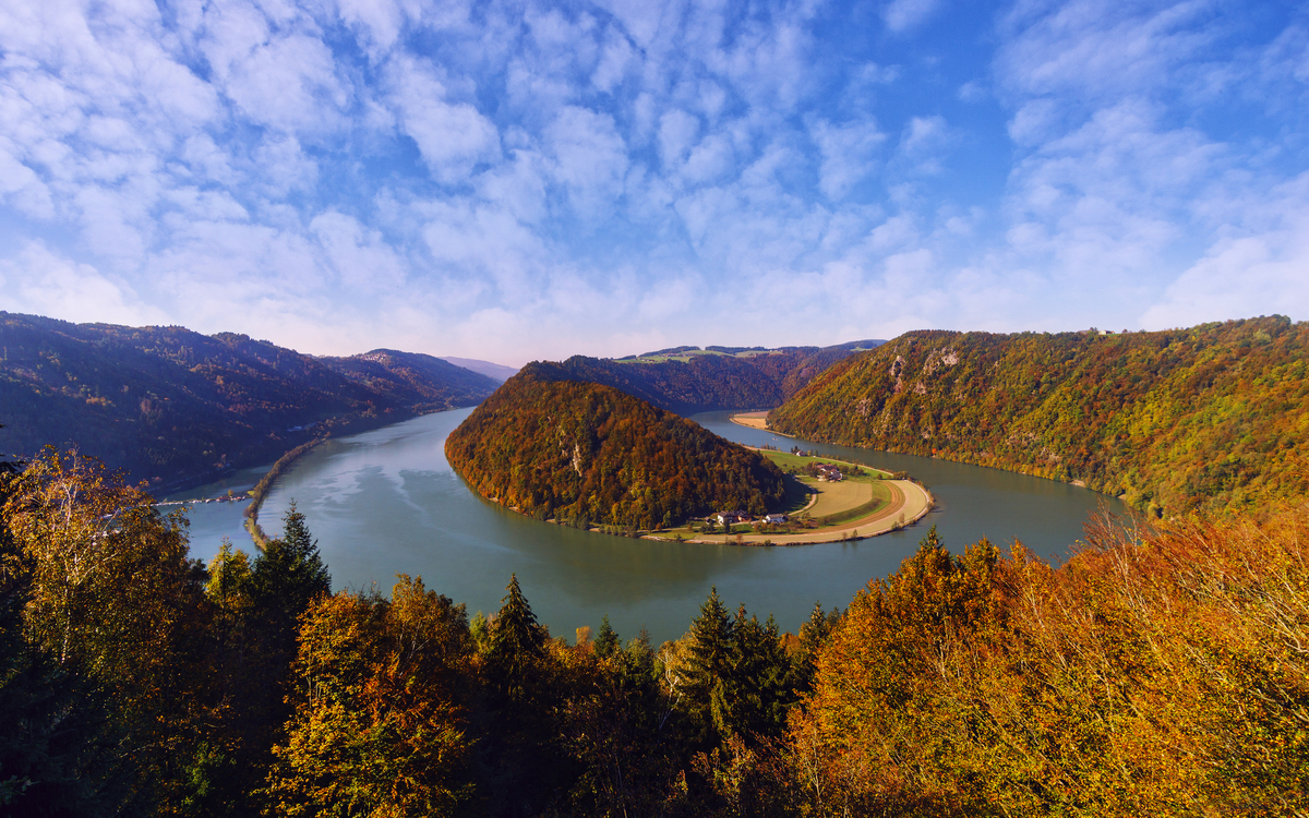 herbstliche Schlögener Schlinge im oberen Donautal in Oberösterreich