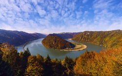 herbstliche Schlögener Schlinge im oberen Donautal in Oberösterreich