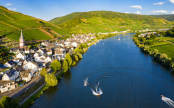 Zell (Mosel)