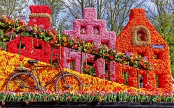 Keukenhof in den Niederlanden