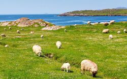 Ring of Kerry