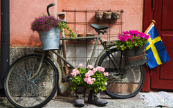 Blume verzierte Fahrrad in Stockholm