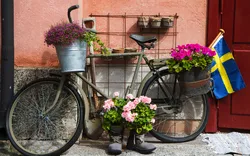 Blume verzierte Fahrrad in Stockholm