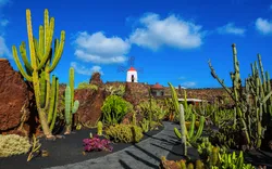 Jardín de Cactus nahe Guatiza an der Nordostküste von Lanzarote