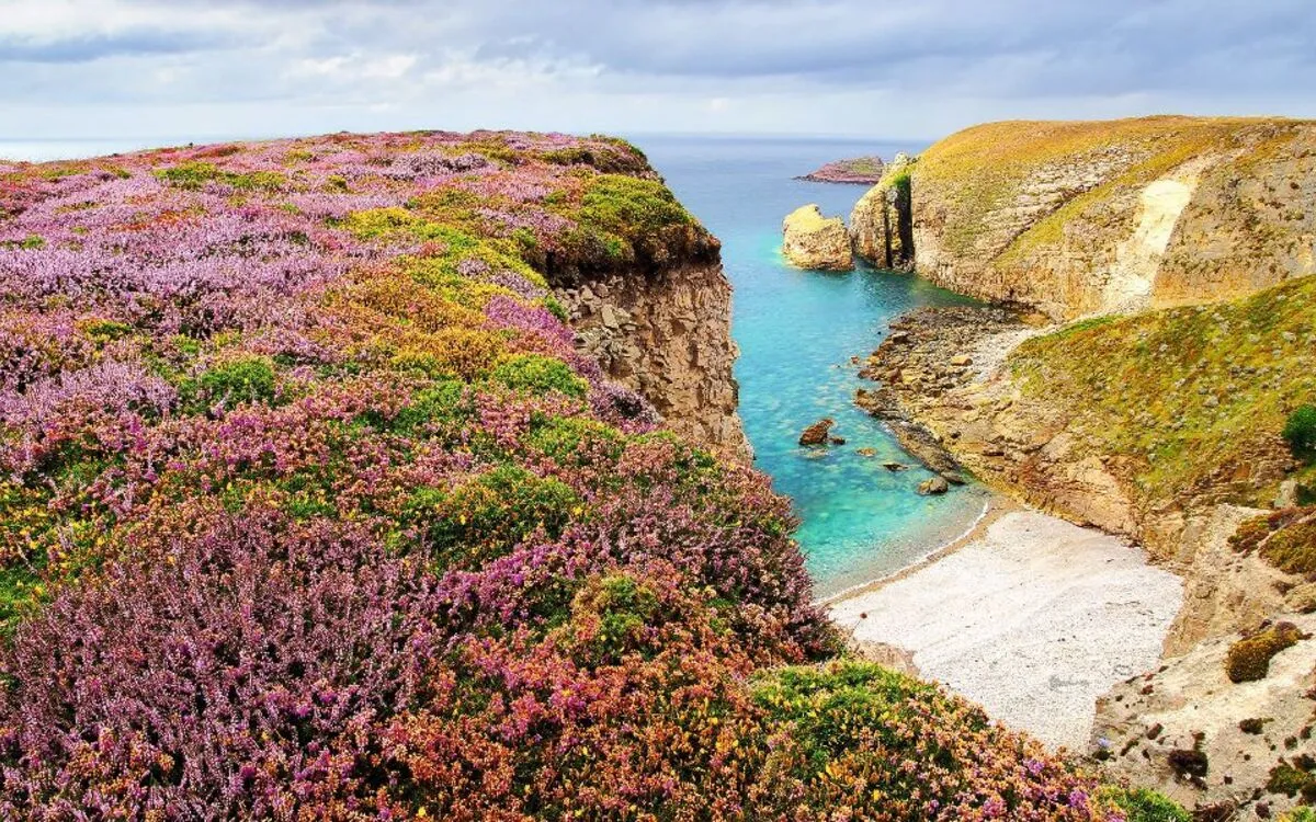 Cap Fréhel in der Bretagne, Frankreich