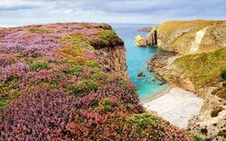 Cap Fréhel in der Bretagne, Frankreich