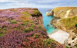 Cap Fréhel in der Bretagne, Frankreich