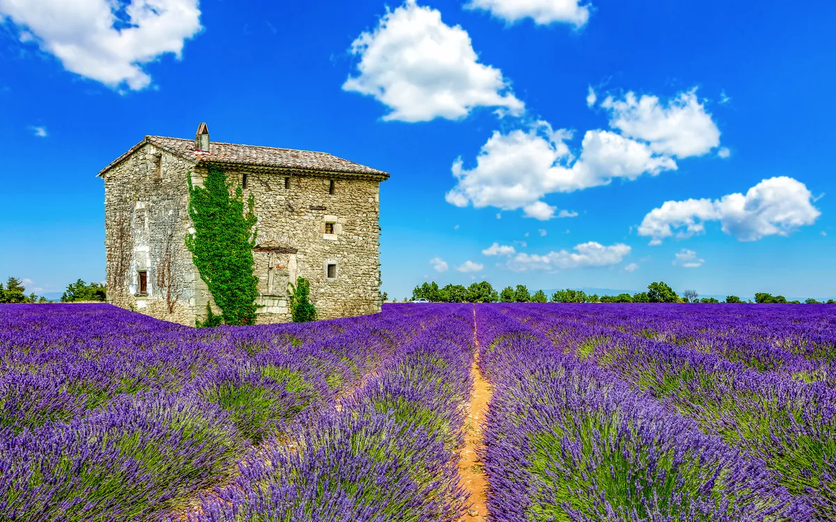 Landschaft in der Provence