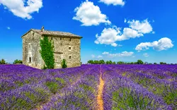 Landschaft in der Provence