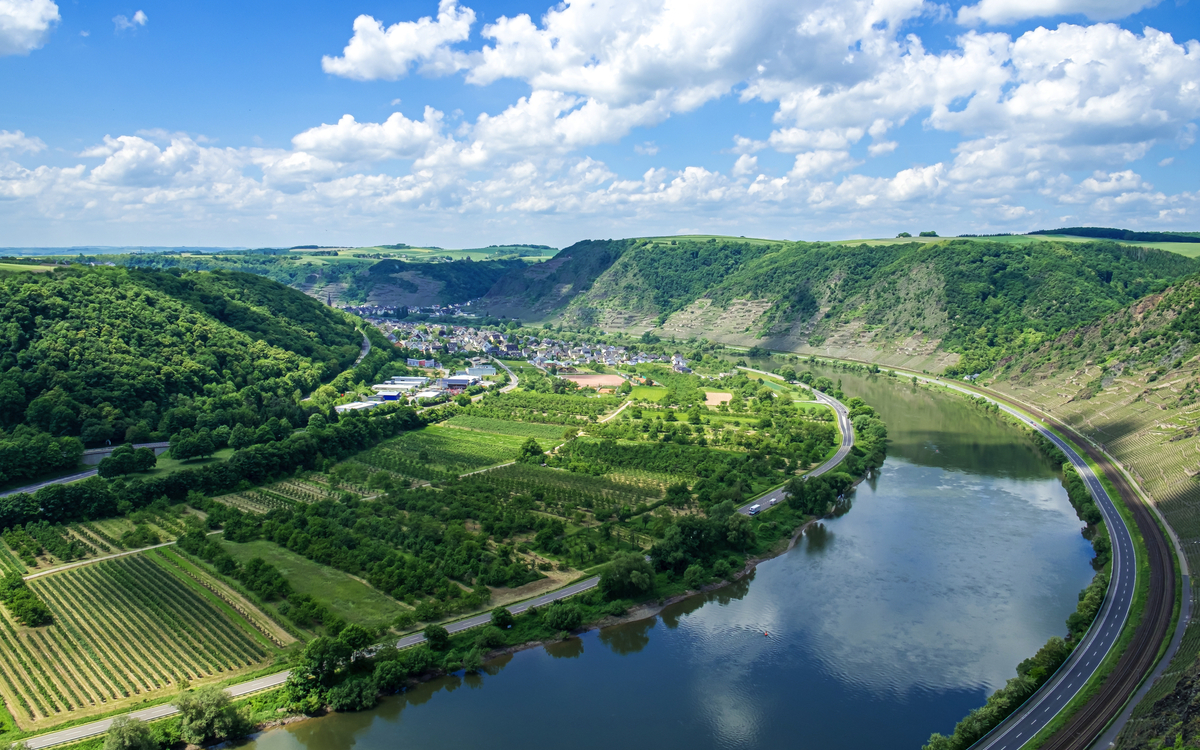 Moselschleife nahe Winningen