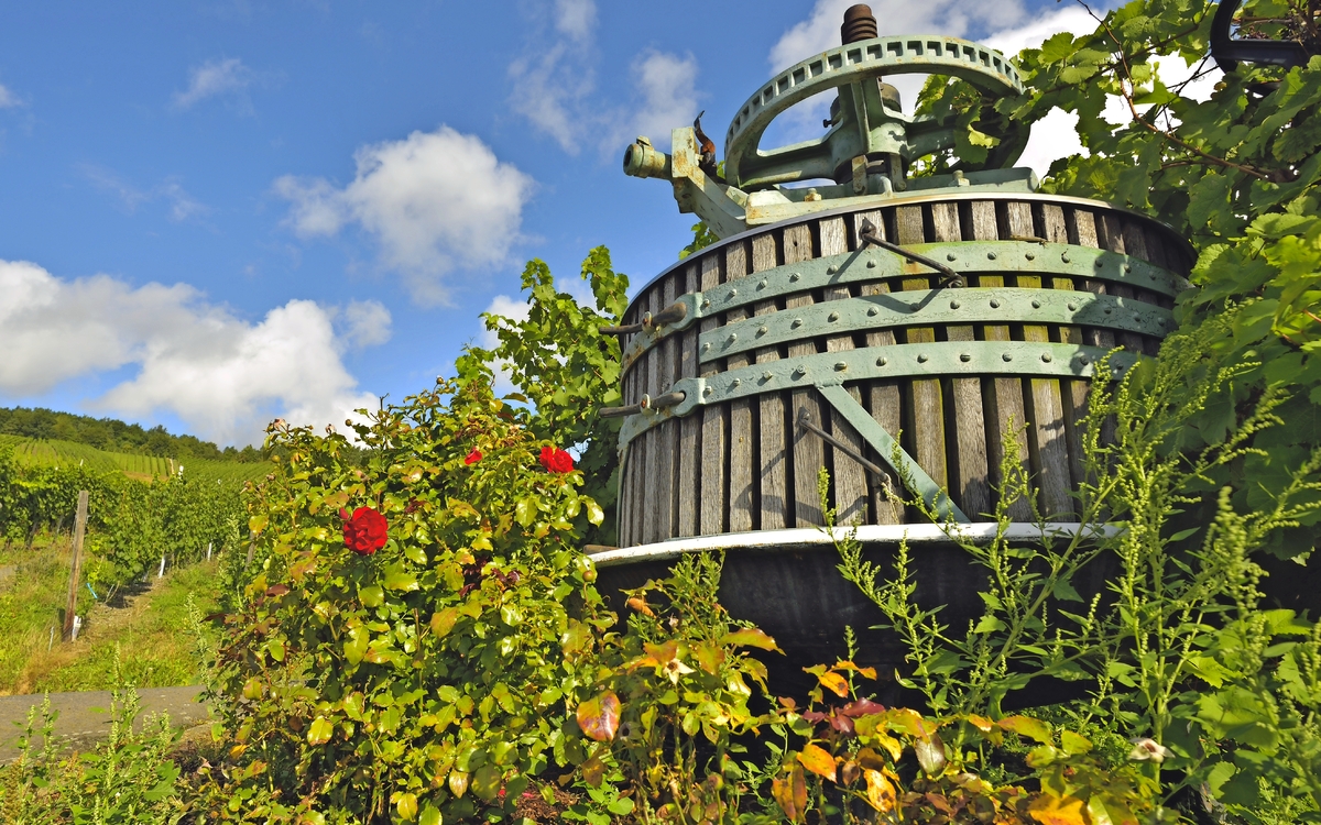 Weinpresse