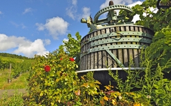 Weinpresse