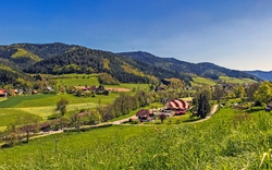 Panoramalandschaft im Gutachtal, Schwarzwald