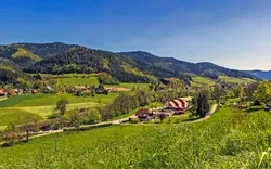 Panoramalandschaft im Gutachtal, Schwarzwald