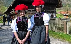 Vogtsbauernhöfe Gutach