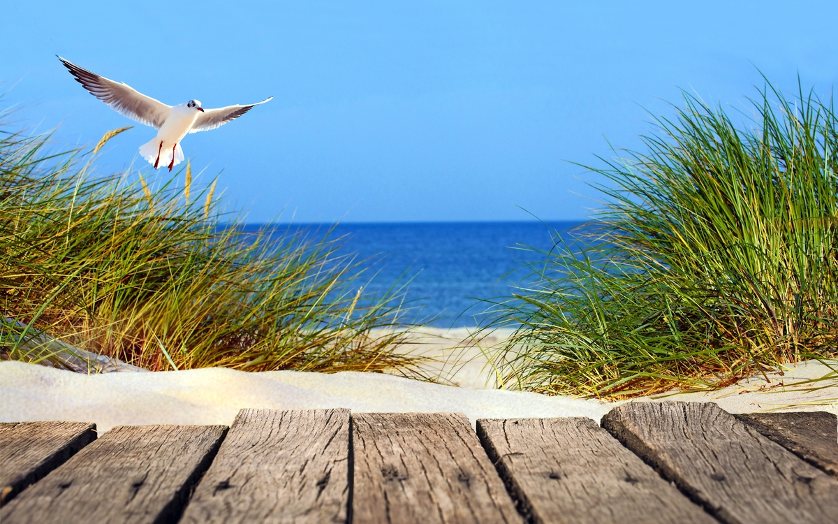 Ostseestrand